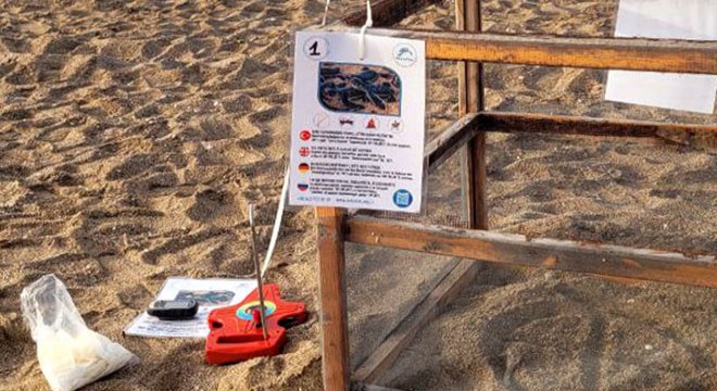 Manavgat'ta deniz kaplumbağası yuvalama sezonu başladı