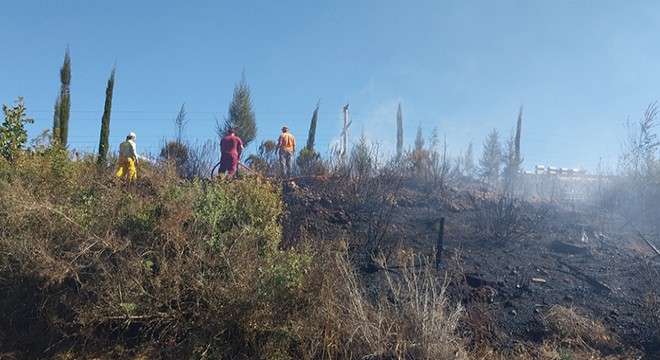 Manavgat'ta orman yangını söndürüldü