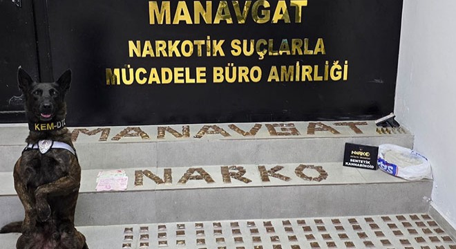 Manavgat'ta uyuşturucu operasyonu
