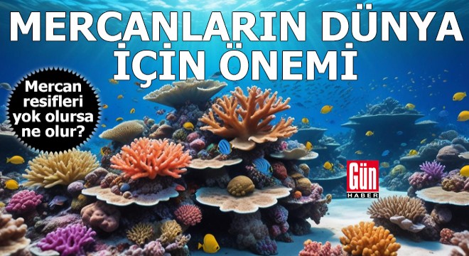 Mercanların dünya için önemi