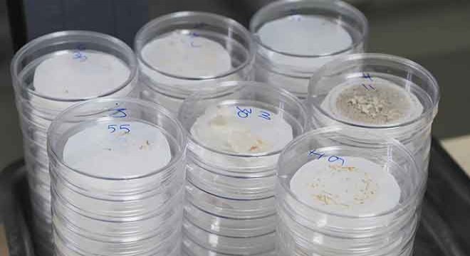 Mikroplastik tehlikesi hayatı tehdit ediyor