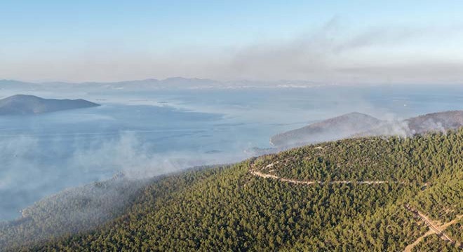 Milas'taki orman yangını 2'nci gününde