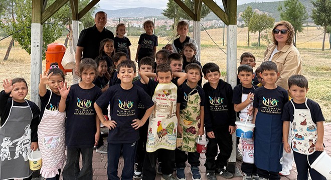Minik öğrencilerden Antalya'da zeytin hasadı