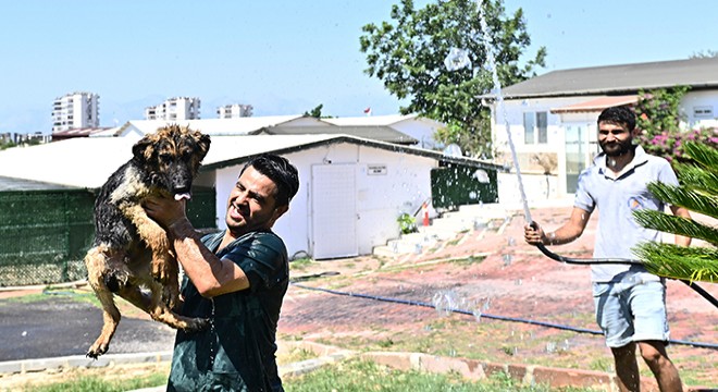 Muratpaşa'dan patili dostlara serin dokunuş