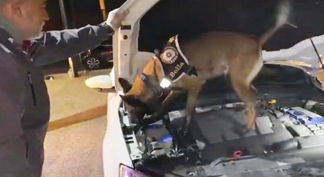 Narkotik köpeği 'Bella' uyuşturucuya geçit vermiyor