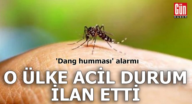 O ülke acil durum ilan etti: 'Dang humması' alarmı