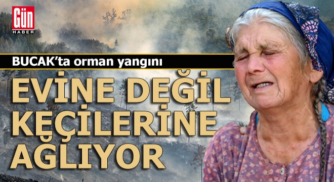 Oğlu yanan evine, annesi kaybettiği  keçilerine ağladı