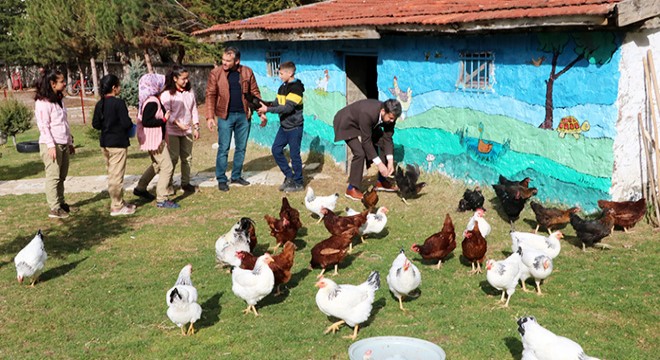 Okul bahçesine kümes yaptılar
