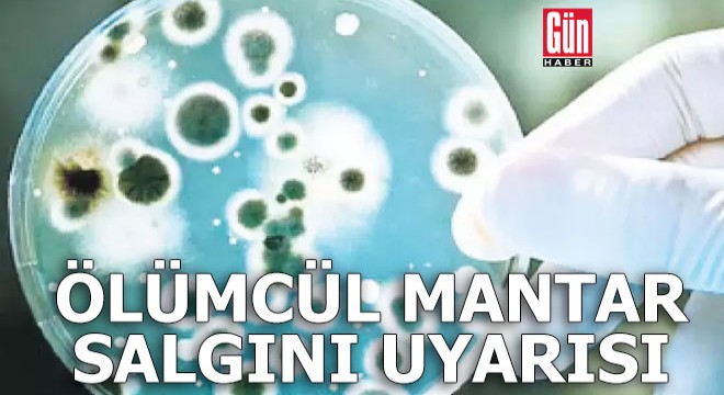 Ölümcül mantar salgını uyarısı