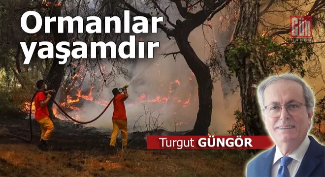 Ormanlar yaşamdır