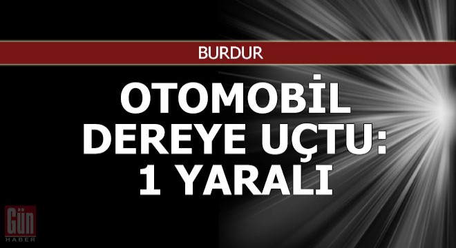 Otomobil dereye uçtu: 1 yaralı