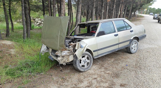 Otomobiliyle ağaca çarpan sürücü yaralandı