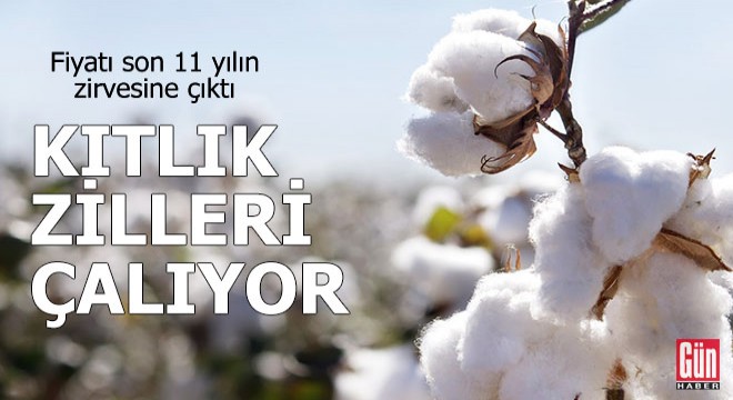 Pamuk kıtlığı kapıda
