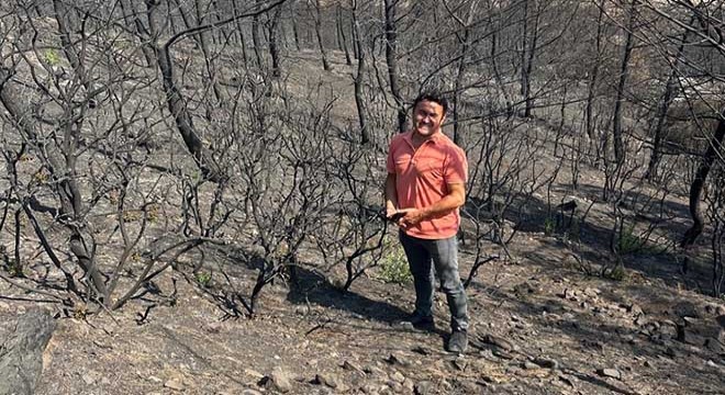 Prof.Dr. Kavgacı'dan orman yangınları ile ilgili açıklama
