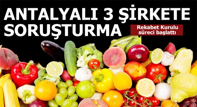 Rekabet Kurulu Antalya'da 3 şirkete soruşturma açtı