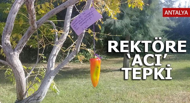 Rektöre 'acı biberli' eleştiri