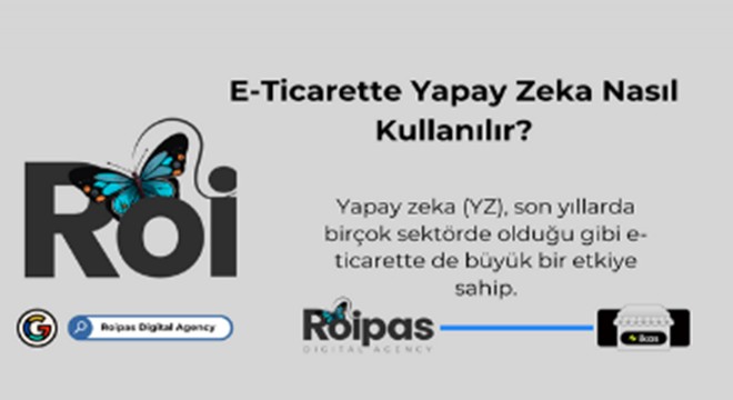 Roipas Dijital Ajans: Dijital Pazarlamada Yüksek ROI'nin Anahtarı
