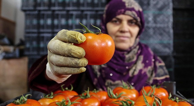 Rusya Çin ile sınırını kapattı, ihracatta artış bekleniyor