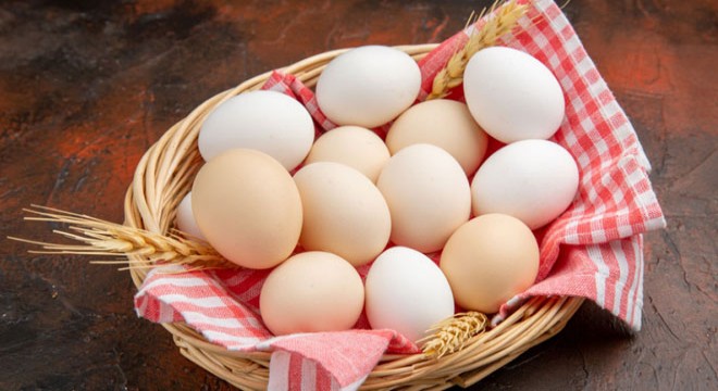 Rusya'da yaşanan yumurta krizini Türkiye çözdü