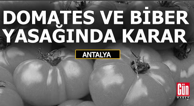 Rusya'nın domates ve biber yasağı ile ilgili sıcak bir gelişme...