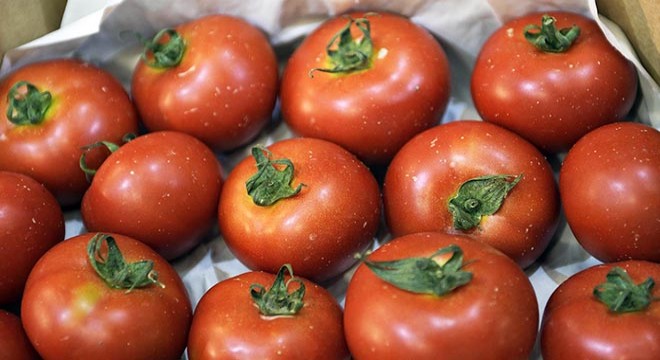 Rusya'ya domates ihracat kotası 50 bin ton artırıldı