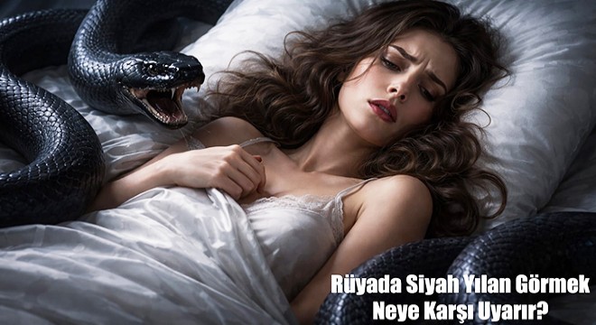 Rüyada Siyah Yılan Görmek Neye Karşı Uyarır?