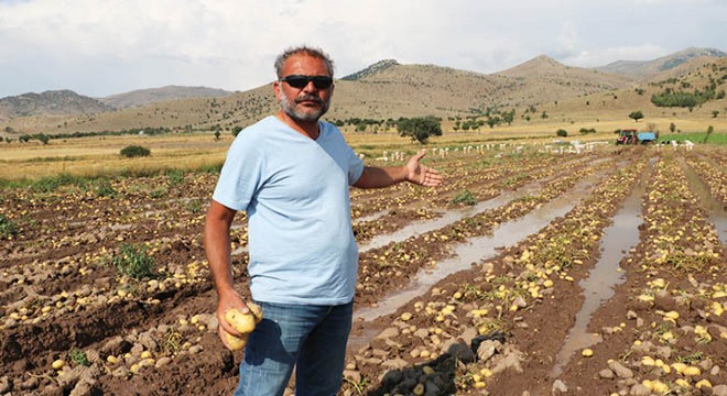 Sağanak nedeniyle iş yerleri ve patates tarlalarını su bastı