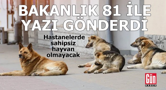 Sağlık Bakanlığı 81 ile yazı gönderdi!