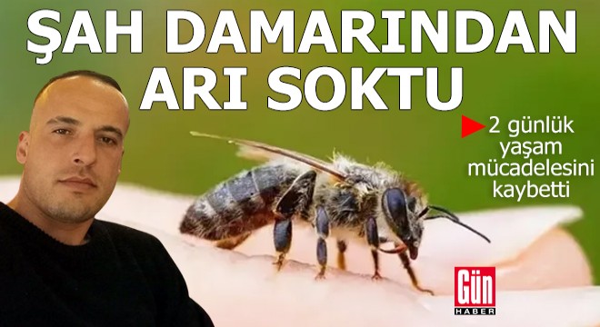 Şah damarından arı soktu, 2 gün sonra hayatını kaybetti