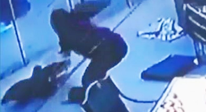 Şahin saldırısına uğrayan köpeğini 'minderle' kurtardı