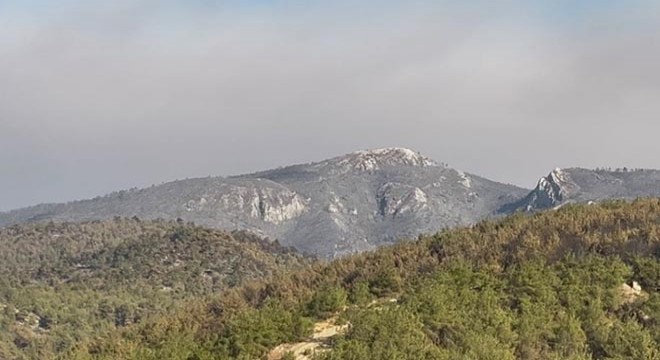 Sakarya'daki orman yangını kısmen kontrol altında
