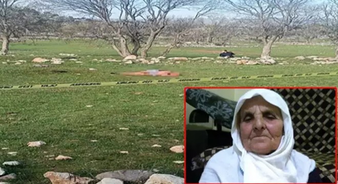 Saldırdıkları kadını öldüren köpeklerin sahibine hapis