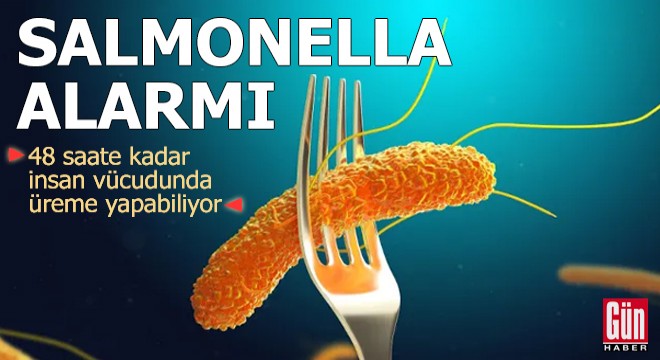 Salmonella alarmı: 48 saatte üreyebilir