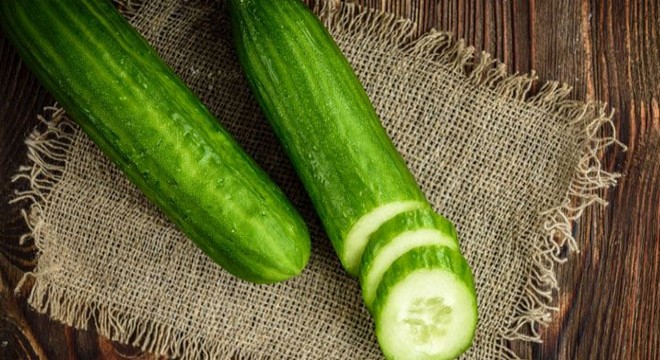 Salmonella salgını: 68 kişi hastalandı