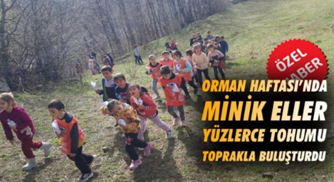 Samsun Son Haber: Orman Haftası'nda minik eller yüzlerce tohumu toprakla buluşturdu