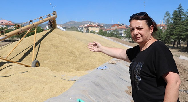 Sandıklı TMO'da hububat alımı sürüyor