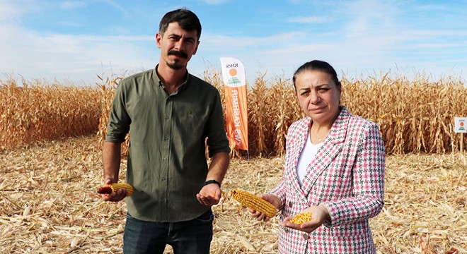 Sandıklı'da danelik mısır anlatıldı