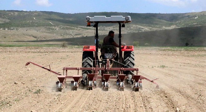 Sandıklı'da pancar ekimi tamamlandı