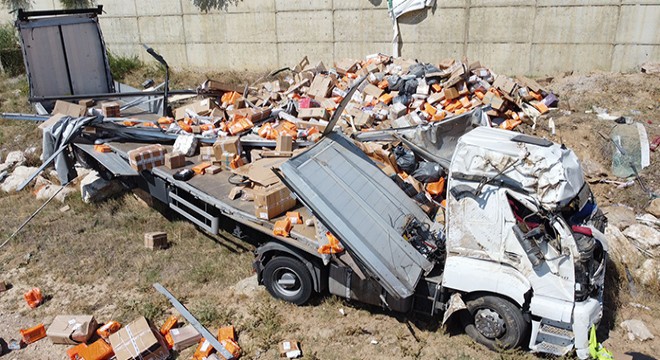 Şarampole devrilen TIR'ın sürücüsü öldü