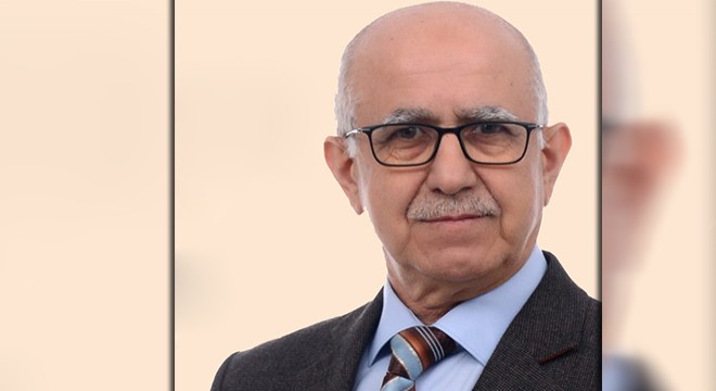 Seçim çalışmasında başkan adayının üzerine ağaç devrildi