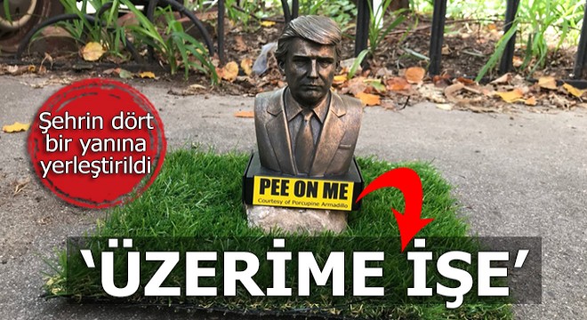 Şehrin dört bir yanına yerleştirildi: 'Üzerime işe'