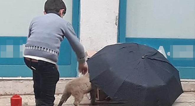 Şemsiyesiyle sokak köpeğini yağmurdan korudu
