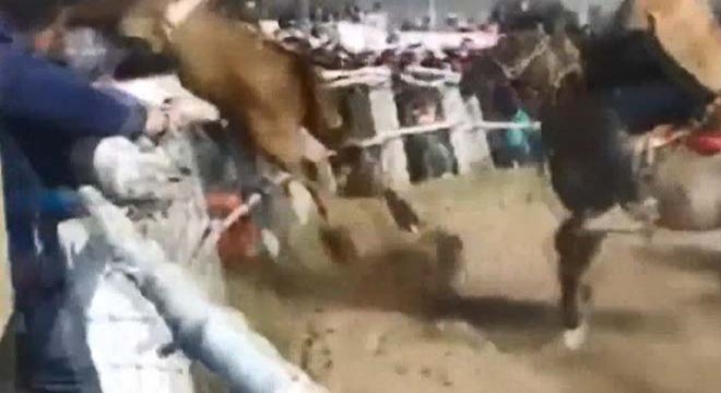 Şili’de boğa seyircilerin arasına daldı: 10 yaralı