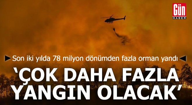 Son iki yılda 78 milyon dönümden fazla orman yandı