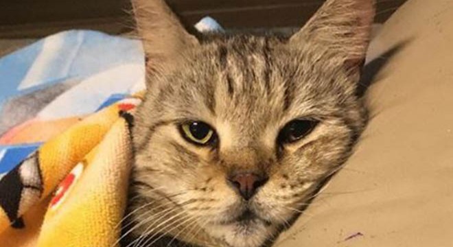 Sosyal medya fenomeni 'Jep' öldü