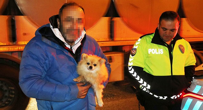 Sürücüyle polisler arasında ilginç diyalog