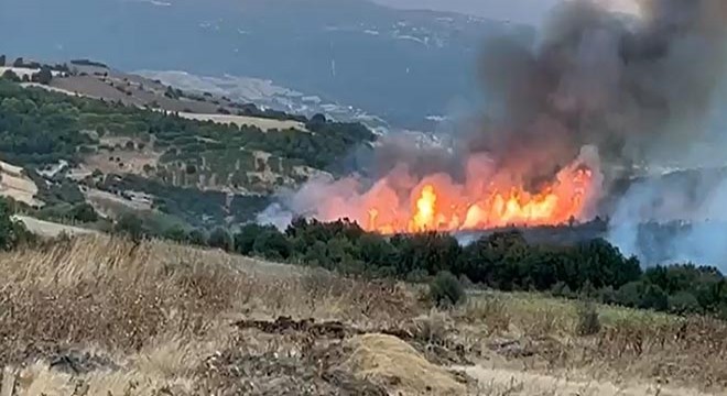 Susurluk'taki orman yangını kontrol altına alındı