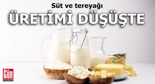 Süt ve tereyağı üretimi düşüşte