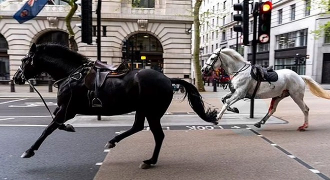 Süvari atları Londra’nın caddelerine kaçtı, yaralılar var