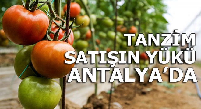 Tanzim satışın yükü Antalya'da